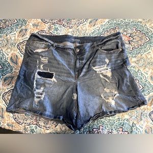 Maurices denim shorts size 24